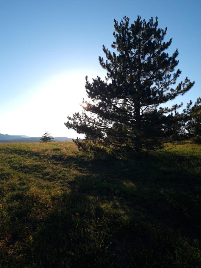 Apartman Juga Kremna Екстер'єр фото